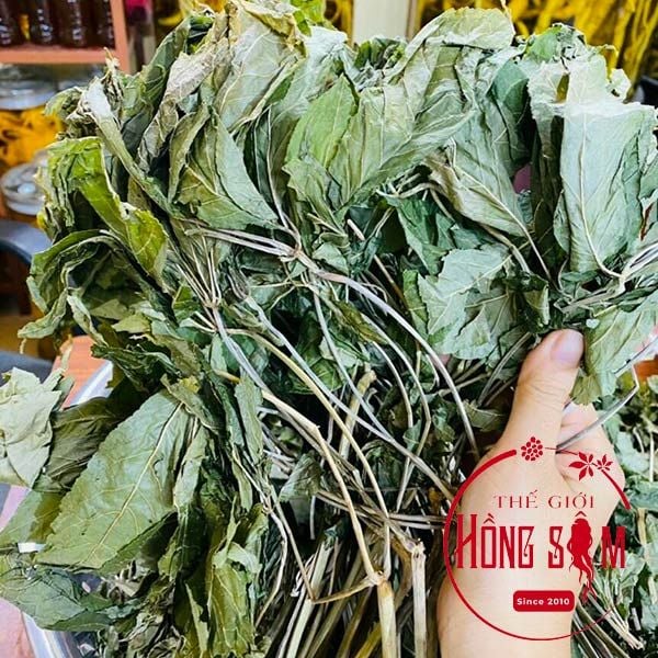 Lá Sâm Ngọc Linh Khô 100g