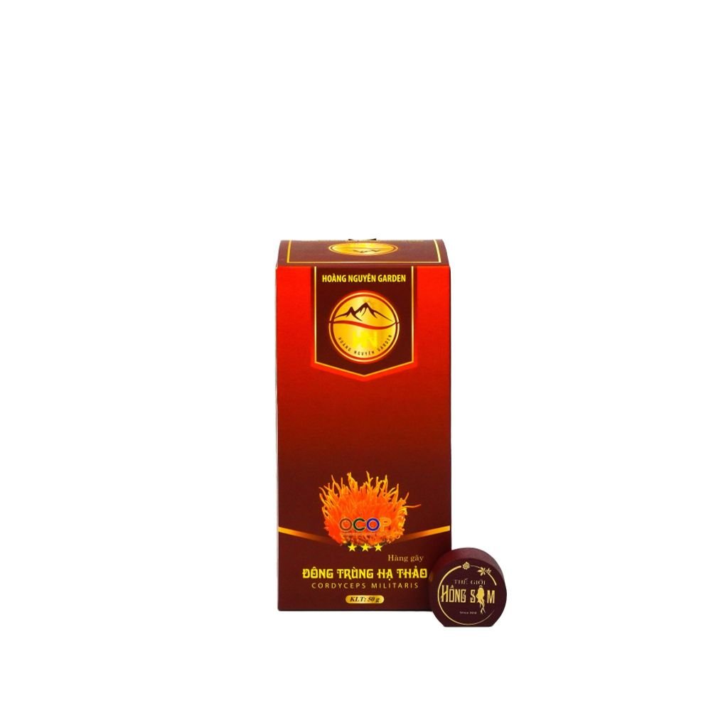 Nấm Đông Trùng Hạ Thảo Khô Gãy 50gr