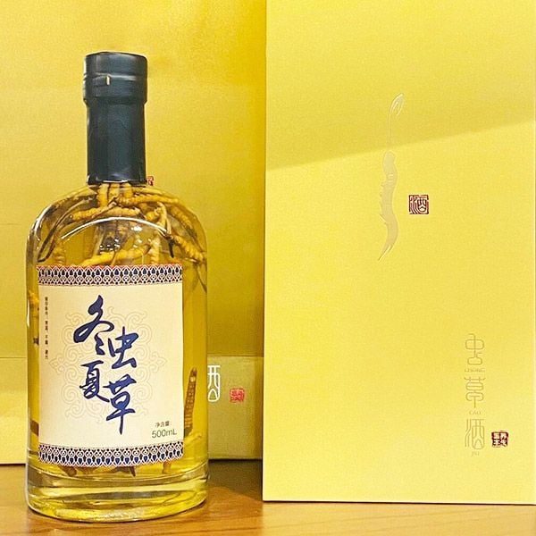 Bình Đông Trùng Hạ Thảo Tây Tạng 500ml