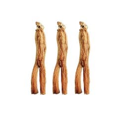 Sâm Củ Khô Hộp Thiếc KGC 300g 14 Củ Số 20