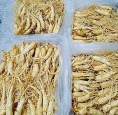 Sâm Tươi Hàn Quốc 10 Củ/Kg Đã Làm Sạch - Nhập Khẩu Chính Ngạch - Xuất VAT
