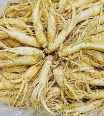 Sâm Tươi Hàn Quốc 10 Củ/Kg Đã Làm Sạch - Nhập Khẩu Chính Ngạch - Xuất VAT