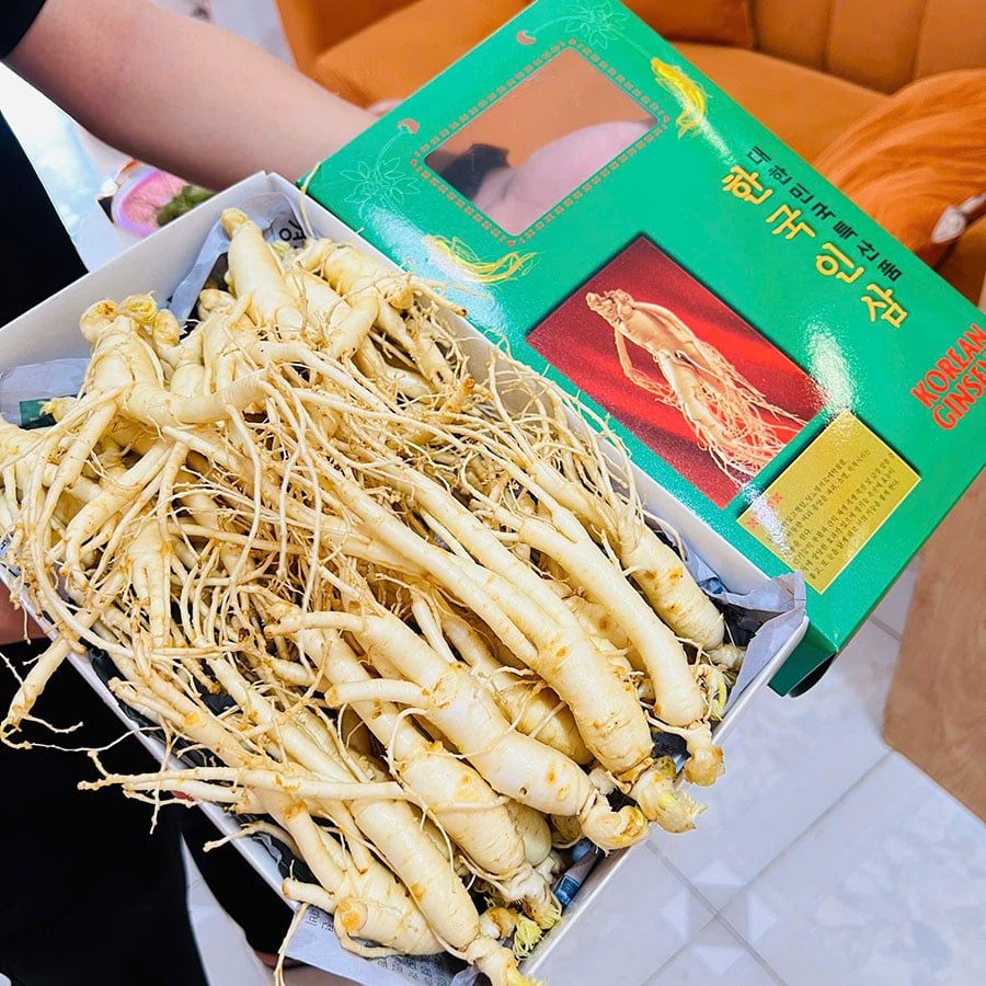 Sâm Tươi Hàn Quốc 25–30 Củ/Kg - Nhập Khẩu Chính Ngạch – Xuất VAT