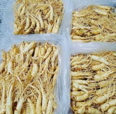 Sâm Tươi Hàn Quốc 8 Củ/Kg Đã Làm Sạch - Nhập Khẩu Chính Ngạch - Xuất VAT
