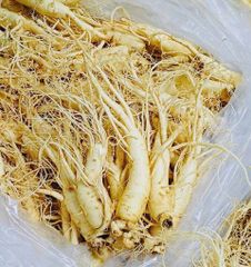 Sâm Tươi Hàn Quốc 8 Củ/Kg Đã Làm Sạch - Nhập Khẩu Chính Ngạch - Xuất VAT