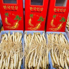 Sâm Tươi Hàn Quốc 25–30 Củ/Kg - Nhập Khẩu Chính Ngạch – Xuất VAT
