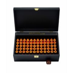 Tinh Chất Đông Trùng Hạ Thảo Kanghwa Cao Cấp Mẫu 2 Rồng (20ml x 60 Ống)