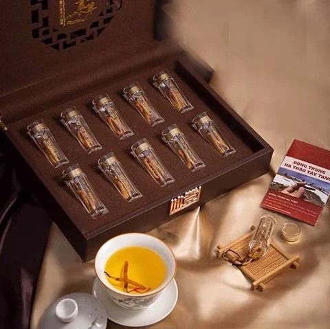 Đông Trùng Hạ Thảo Tây Tạng - Tăng cường sinh lý nam nữ hiệu quả