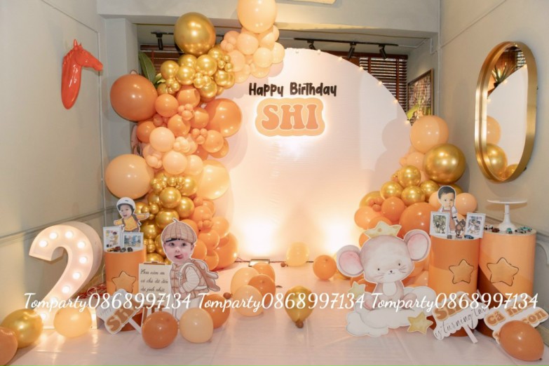 TRANG TRÍ SINH NHẬT BÉ SHI