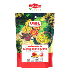 Xoài chín cây sấy dẻo không đường 1kg