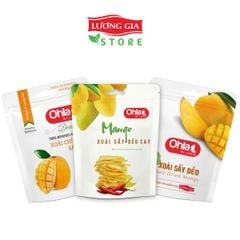 Combo siêu hời 1: 3 túi xoài 100g ( xoài sấy dẻo, xoài chín cây sấy dẻo, xoài muối ớt)