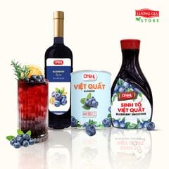Siro Việt Quất Ohla 750ml (chai thủy tinh)