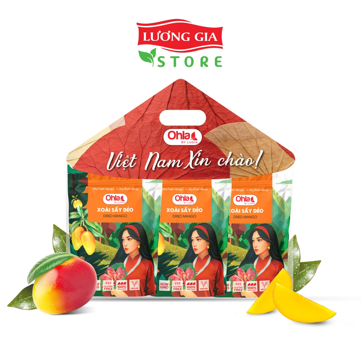Combo Xoài sấy dẻo CG 100g (5x100g)