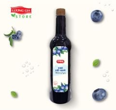 Siro Việt Quất Ohla 780ml (chai nhựa)