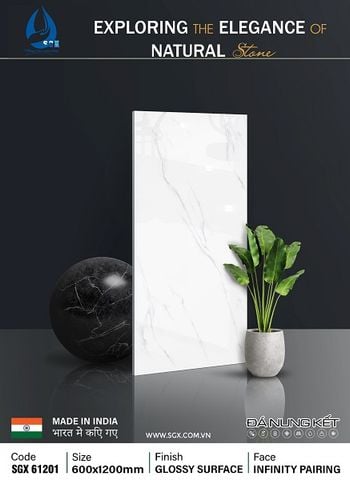 Gạch 60x120 cao cấp: SGX 61201