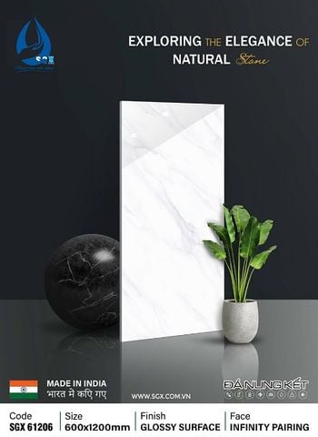 Gạch 60x120 cao cấp: SGX 61206