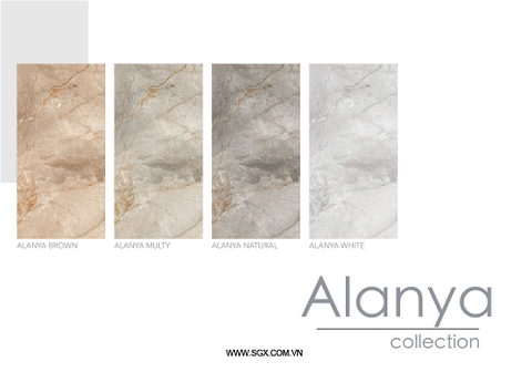 ALANYA MULTY KT60x120