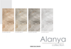 ALANYA WHITE KT60x120