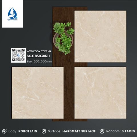 Gạch 80x80 cao cấp: SGX 85030RH