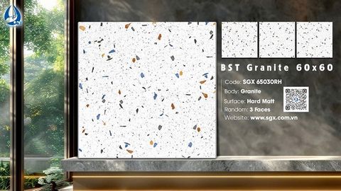 Gạch 60x60 cao cấp: SGX 65030RH