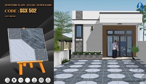 Gạch 50x50 cao cấp: SGX 502
