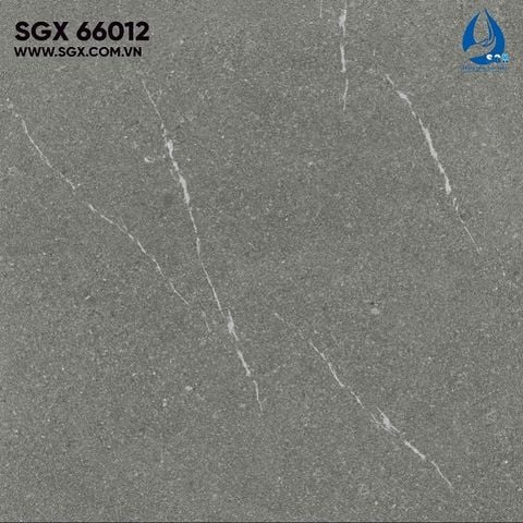 Gạch 60x60 cao cấp: SGX 66012