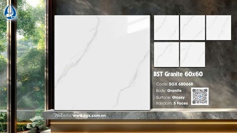 Gạch 60x60 cao cấp: SGX 68066R