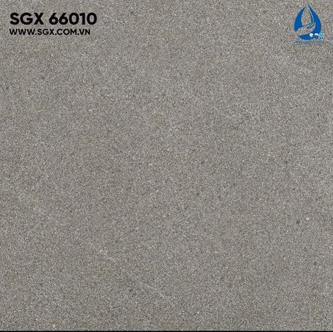 Gạch 60x60 cao cấp: SGX 66010