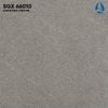 Gạch 60x60 cao cấp: SGX 66010