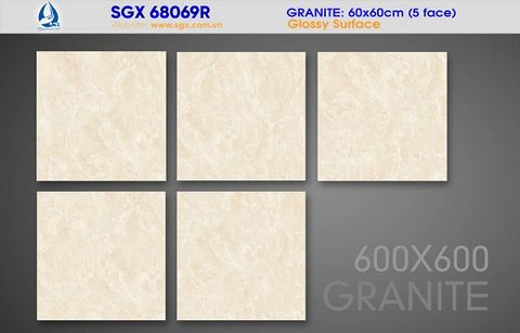 Gạch 60x60 cao cấp: SGX 68069R