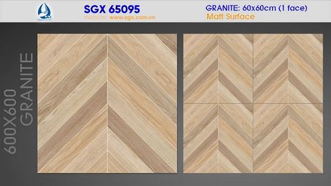 Gạch 60x60 cao cấp: SGX 65095