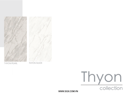 THYON SILVER KT60x120