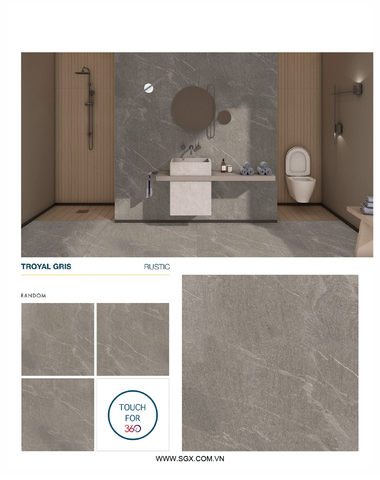 TROYAL GRIS KT100x100