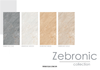 ZEBRONIC BEIGE KT60x120