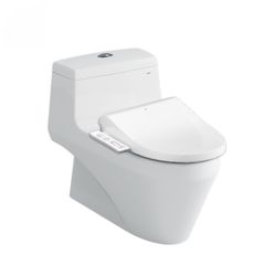 Bồn cầu kết hợp Nắp rửa điện tử INAX AC-1035+CW-H17VN