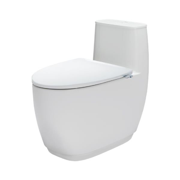 Bồn cầu kết hợp Nắp rửa cơ INAX AC-1052+CW-S32VN