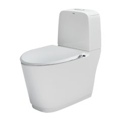 Bồn cầu kết hợp Nắp rửa cơ INAX AC-832+CW-S15VN