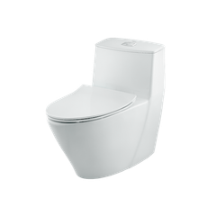 Bồn Cầu INAX AC-919VRN (AC919VRN) 1 khối Aqua Ceramic