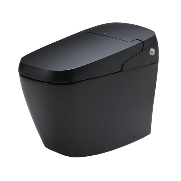 Bồn cầu Điện tử INAX AC-G216VN/BKG