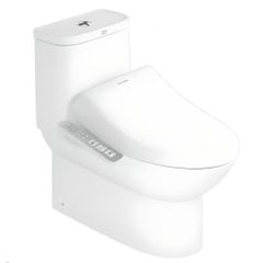 WP-2073PL Bộ Cầu Neo Modern Với Nắp Điện Tử Pristine