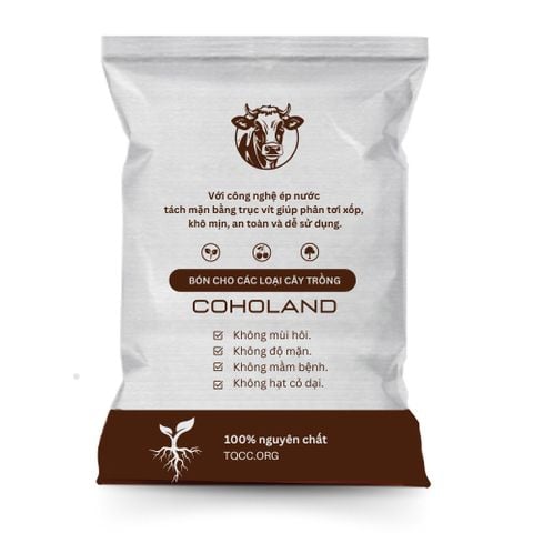  Phân Bò Khô Ép Nước bao 40 dm3: Giải Pháp Hoàn Hảo Cho Vườn Rau Sạch Đô Thị 