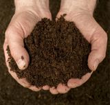  Phân trùn quế cao cấp Vermi-pro bao 10kg tại quận Thủ Đức - TP HCM | Miễn phí giao hàng 