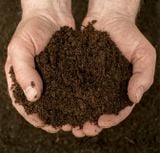  Phân trùn quế cao cấp Vermi-pro bao 10kg tại Bà Rịa - Vũng Tàu | Miễn phí giao hàng 