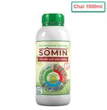  Chế Phẩm Vi Sinh SOMIN chai 1000ml - Bí Quyết Cho Dưa Hấu Thơm Ngon, Bội Thu! 