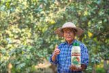  Chế phẩm vi sinh Somin cho Rau màu chai 1000ml - Bí Quyết Cho Vườn Rau Xanh Tươi, Bội Thu! 