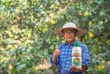  Chế phẩm vi sinh SOMIN 1000ml - BÍ QUYẾT CHO VƯỜN THANH LONG XANH TƯƠI, TRĨU QUẢ 