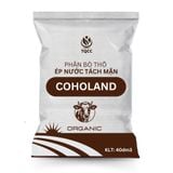  Phân Bò Khô Ép Nước bao 40 dm3: Bí Quyết Cho Cây Công Nghiệp Phát Triển Mạnh Mẽ, Năng Suất Vượt Trội 