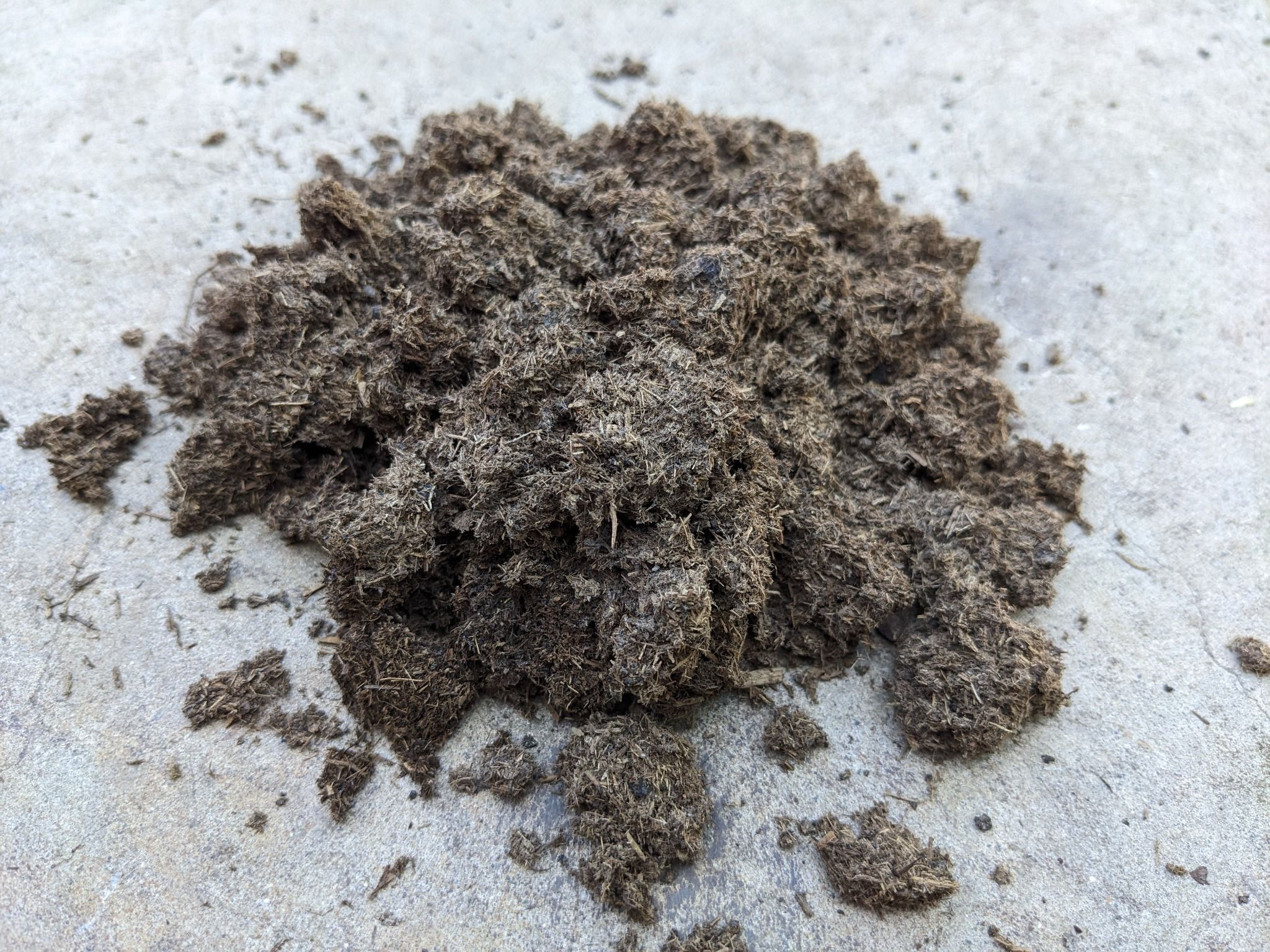  Trùn Quế Củ Chi: "Kho" phân bò khô ép nước bao 40dm3 (8-10kg) giá sỉ, miễn phí ship tận nơi tại Tây Ninh! 