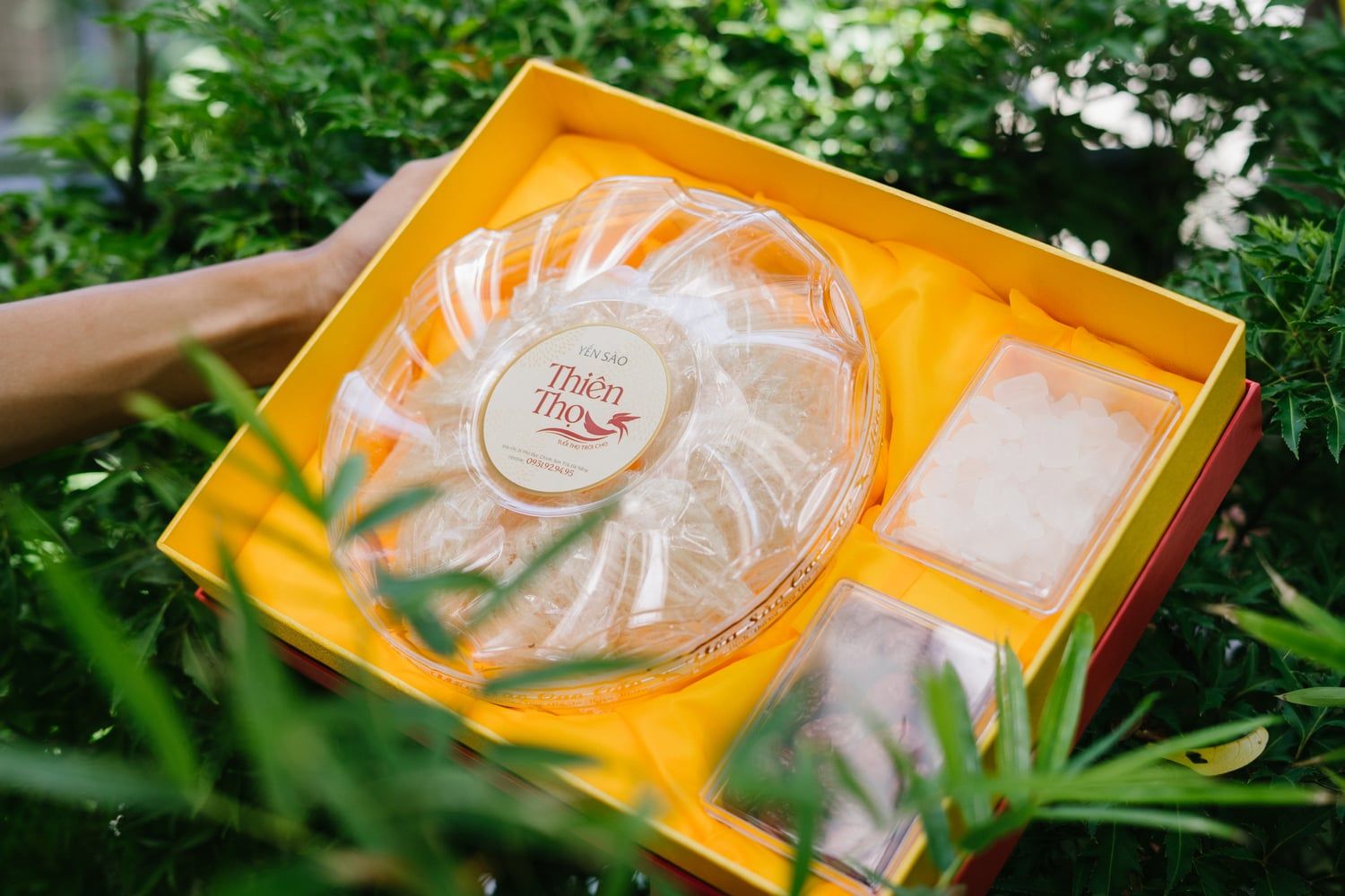  Yến Tinh Chế Tổ Đặc Biệt - 100gr 