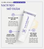  Kem xóa Sẹo Thâm, lấp đầy Sẹo Rỗ, Sẹo Lõm Scar Esthetique 60ml của Rejuvaskin 